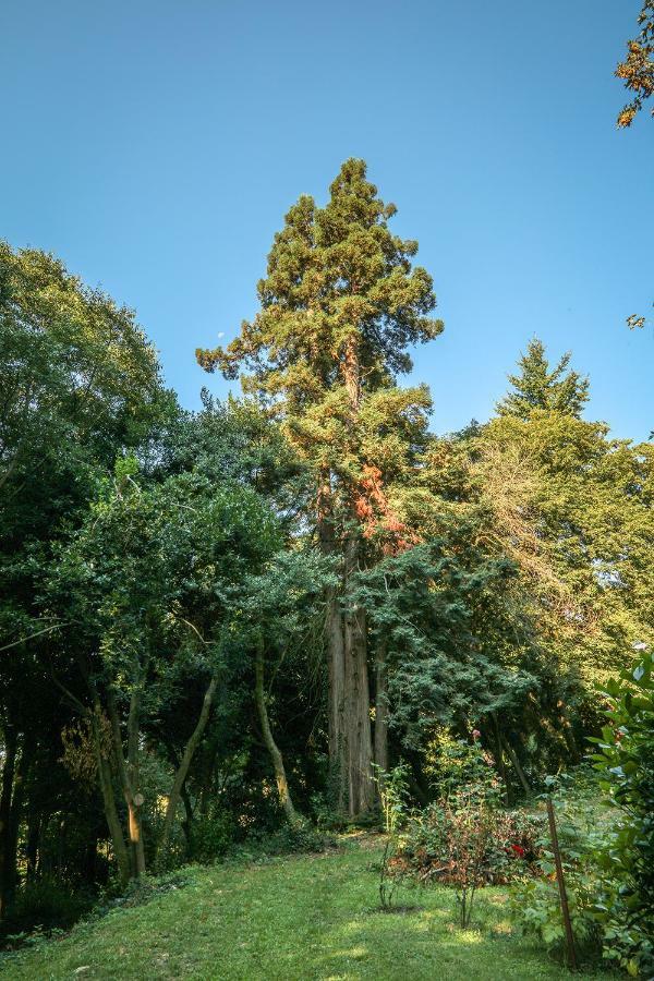 Le Clos D'Abrigeon Aubenas Esterno foto