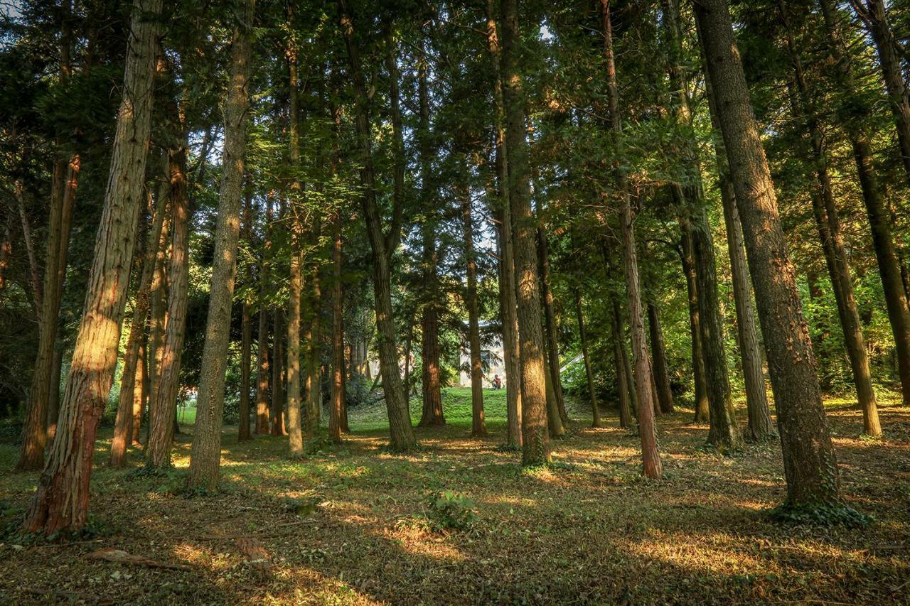 Le Clos D'Abrigeon Aubenas Esterno foto